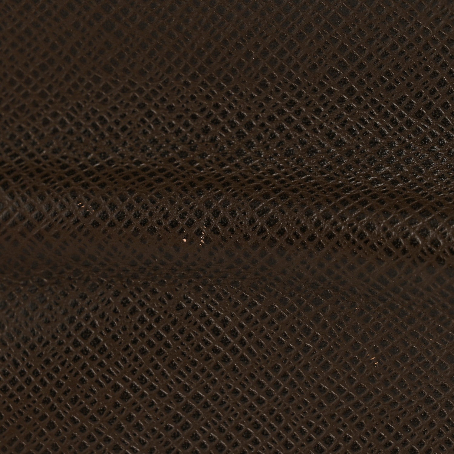 Louis Vuitton Taiga Brazza Wallet Grizzli
