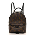 Louis Vuitton Monogram Palm Springs Backpack Mini