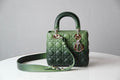 Dior Bags - 1484