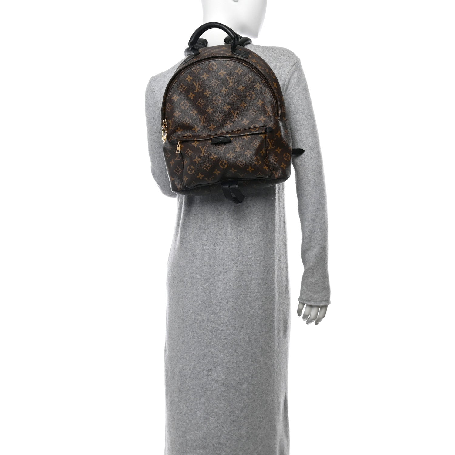 Louis Vuitton Monogram Palm Springs Backpack MM