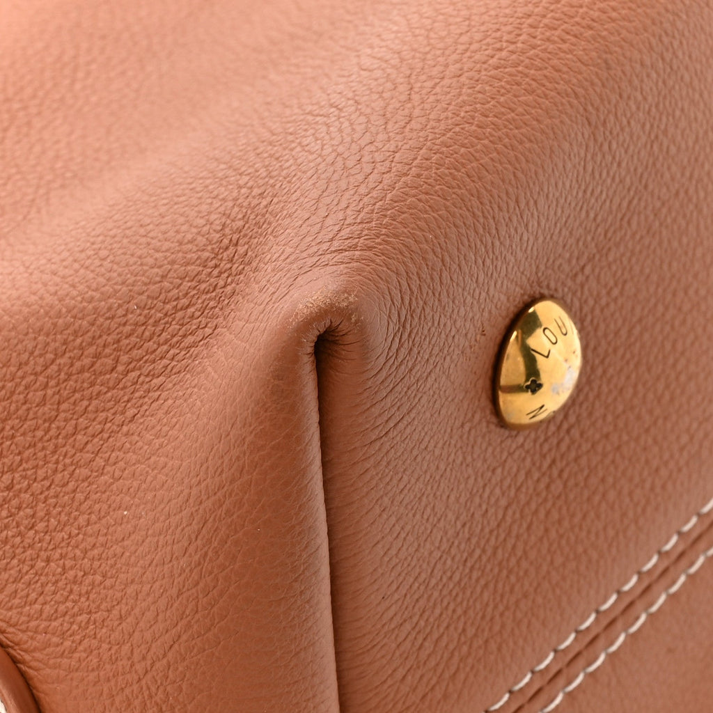 Louis Vuitton Grained Calfskin Low Key Hobo PM Cognac