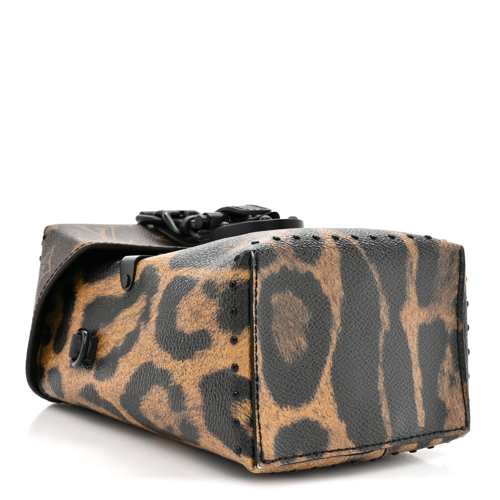 Louis Vuitton Monogram Leopard Camera Box