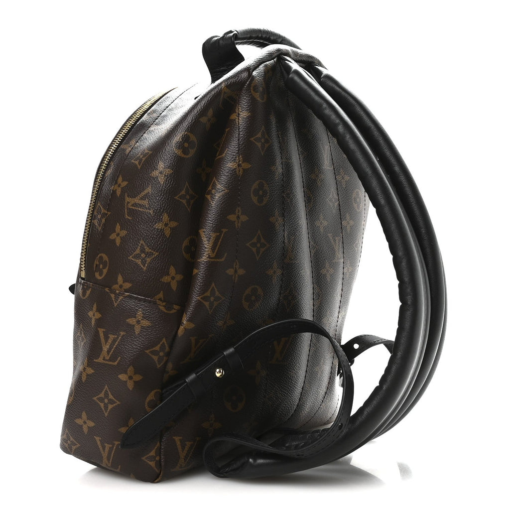Louis Vuitton Monogram Palm Springs Backpack MM
