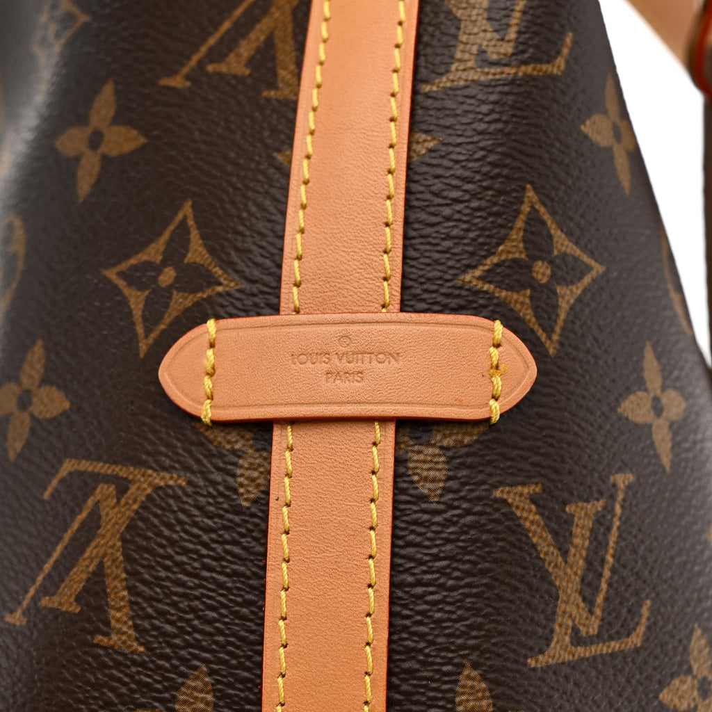 Louis Vuitton Monogram Carryall PM