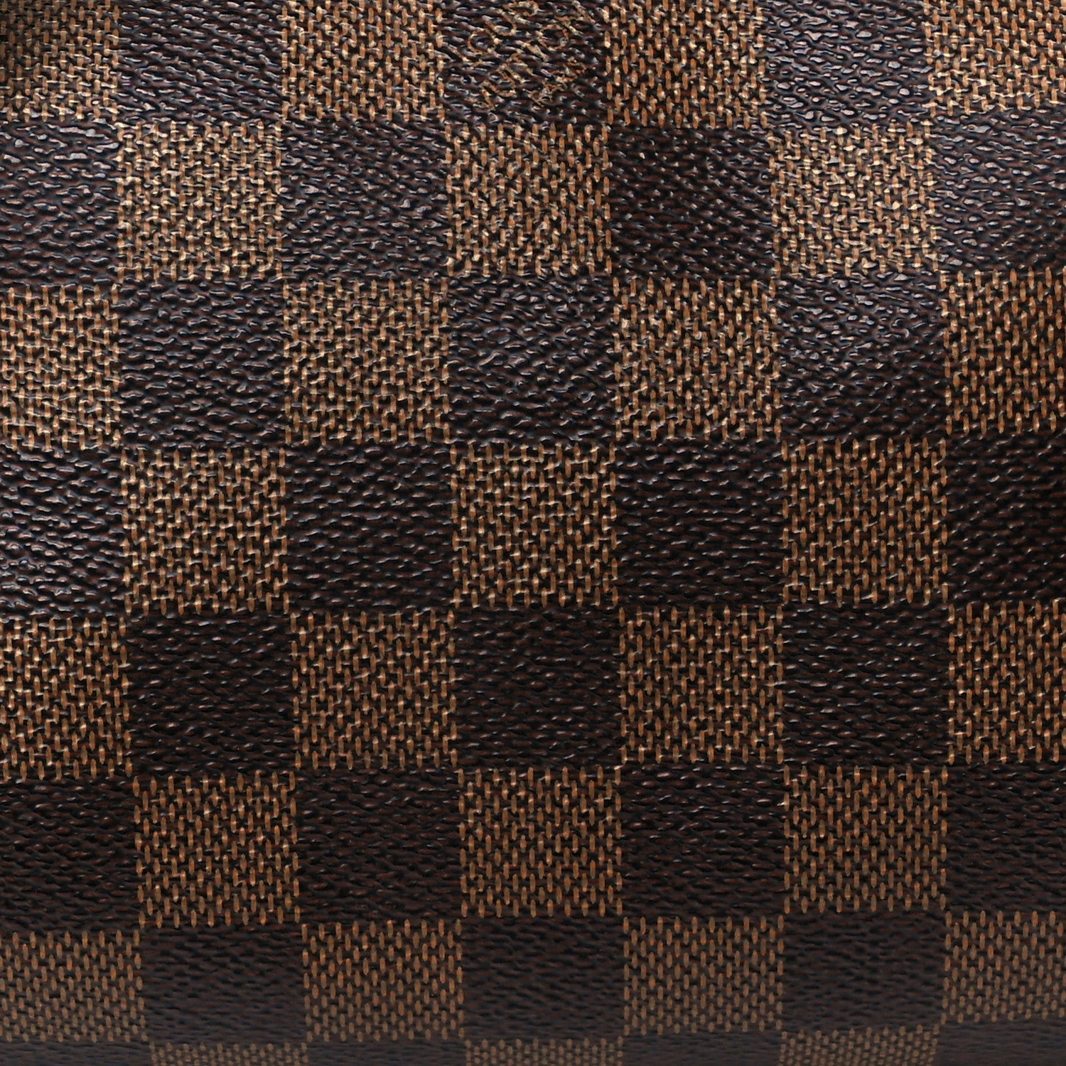 Louis Vuitton Damier Ebene Papillon 30