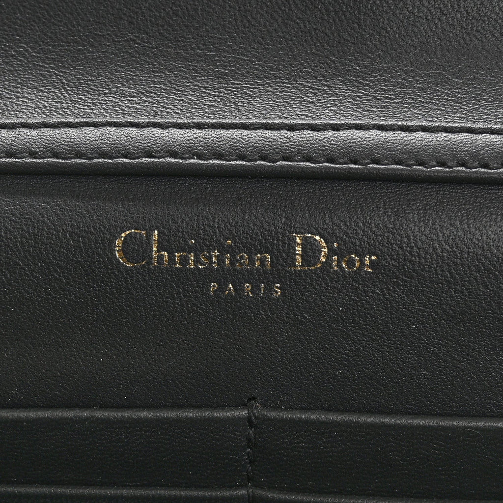 Christian Dior Snakeskin Diorama Wallet on Chain Pouch Silver