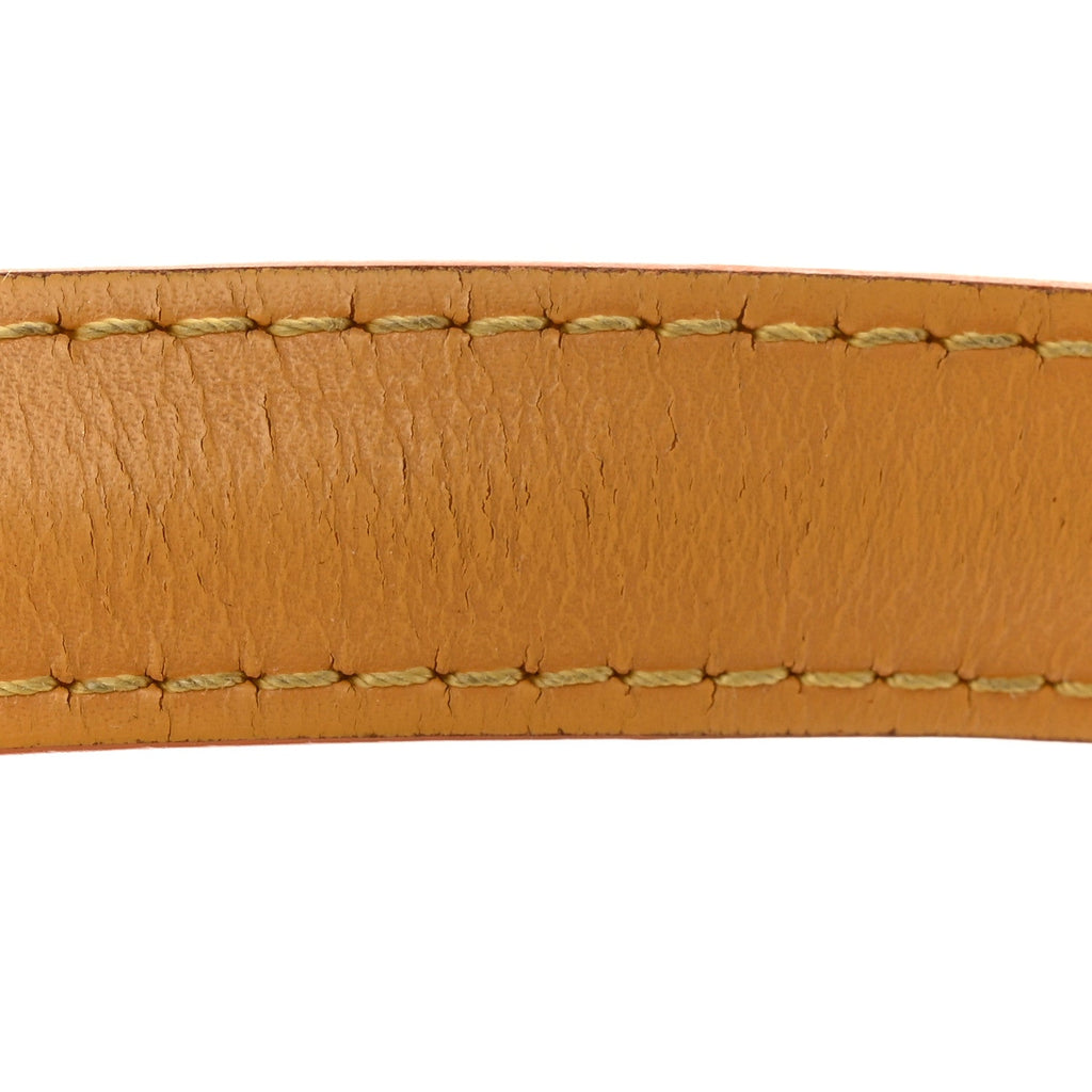 Louis Vuitton Epi Lussac Tassil