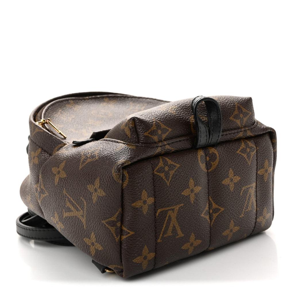 Louis Vuitton Monogram Palm Springs Backpack Mini