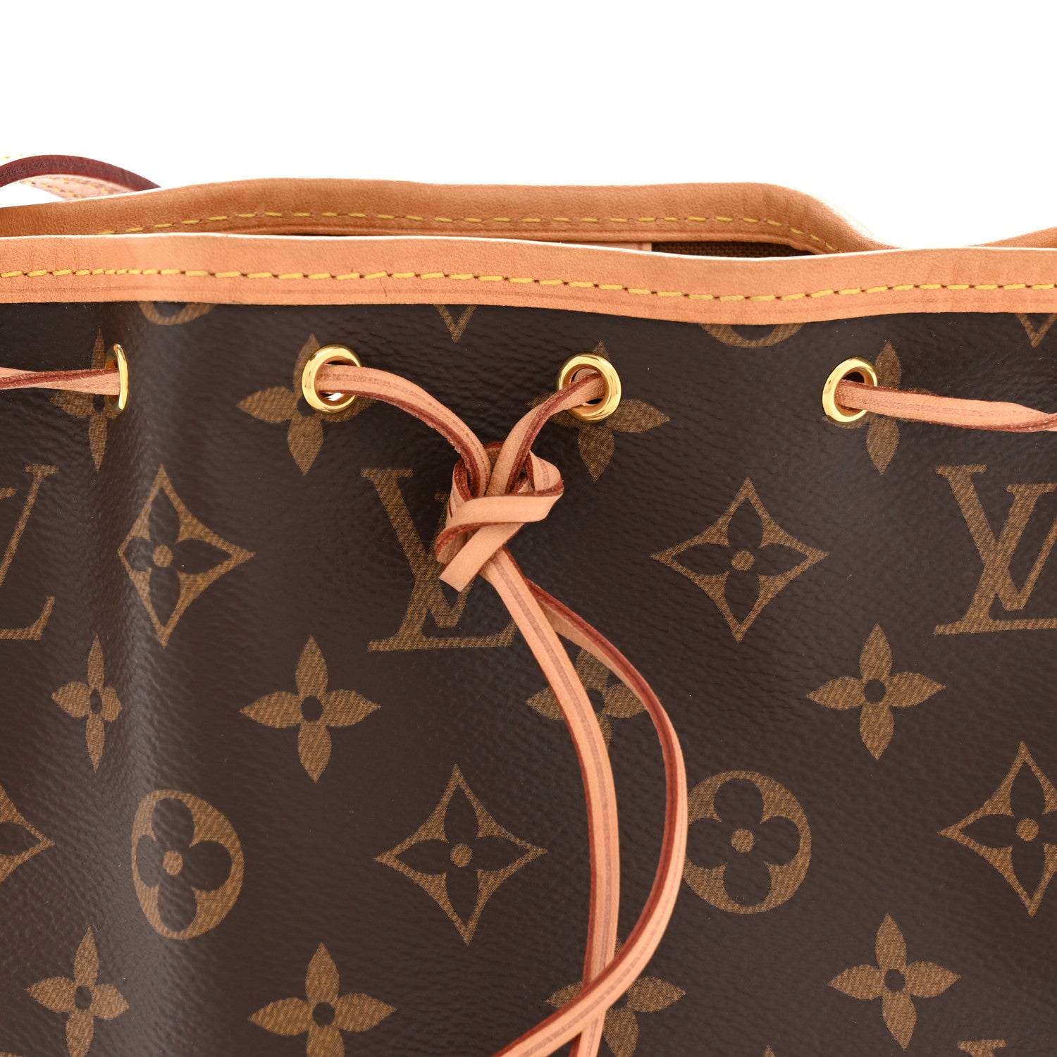 Louis Vuitton Monogram Nano Noe