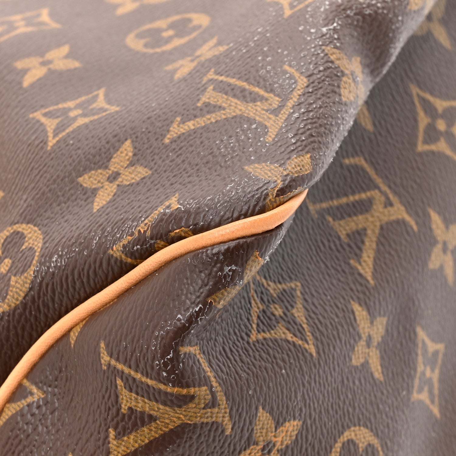 Louis Vuitton Monogram Delightful MM
