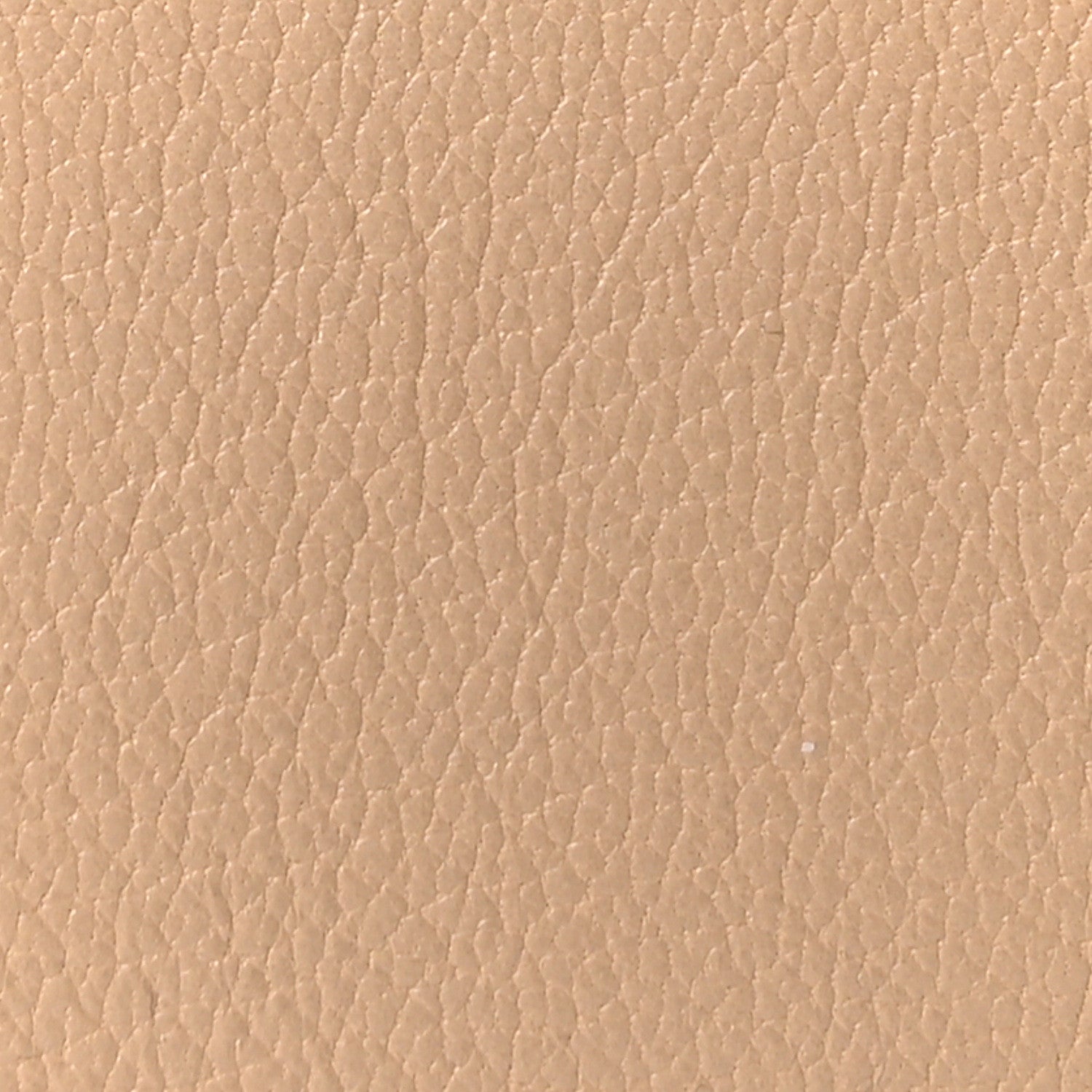 Christian Dior Goatskin Saddle Rodeo Pouch Biscuit
