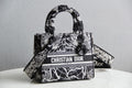 Dior Bags - 4921