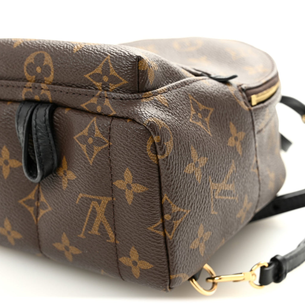 Louis Vuitton Monogram Palm Springs Backpack Mini
