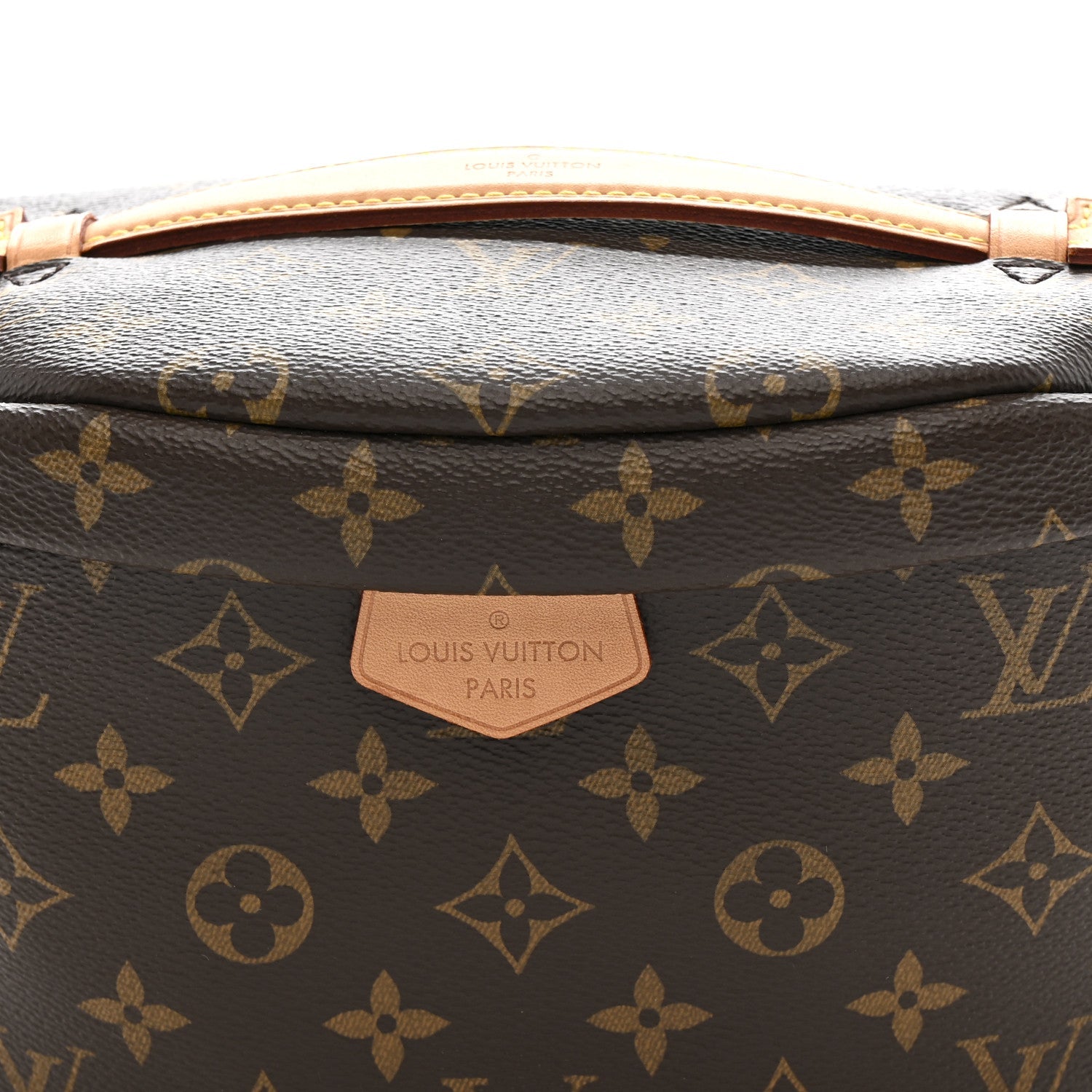 Louis Vuitton Monogram Bumbag