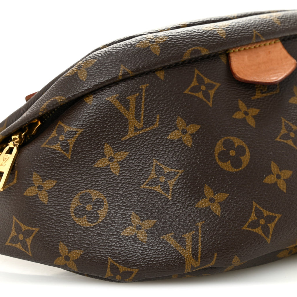 Louis Vuitton Monogram Bumbag