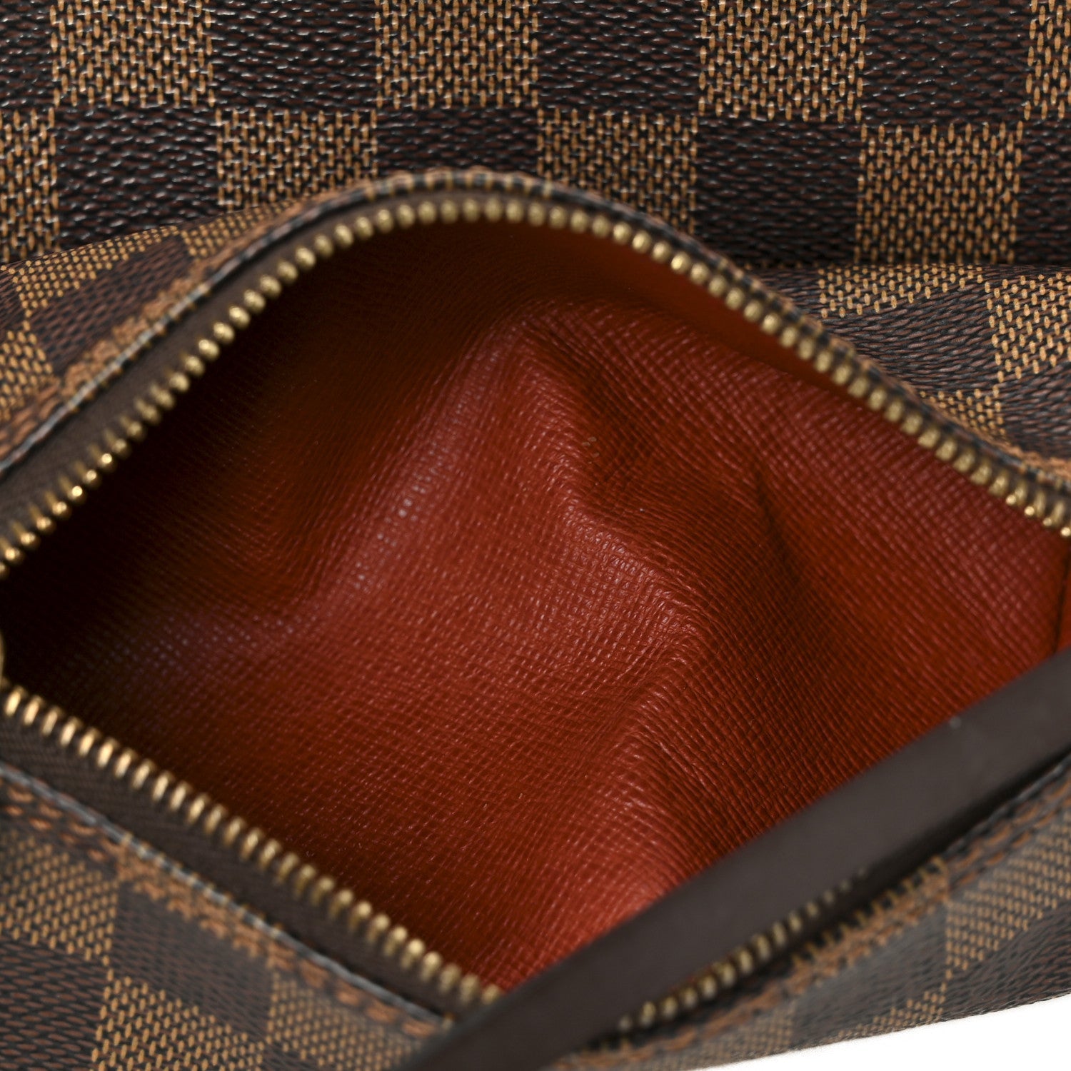 Louis Vuitton Damier Ebene Papillon 30 With Companion