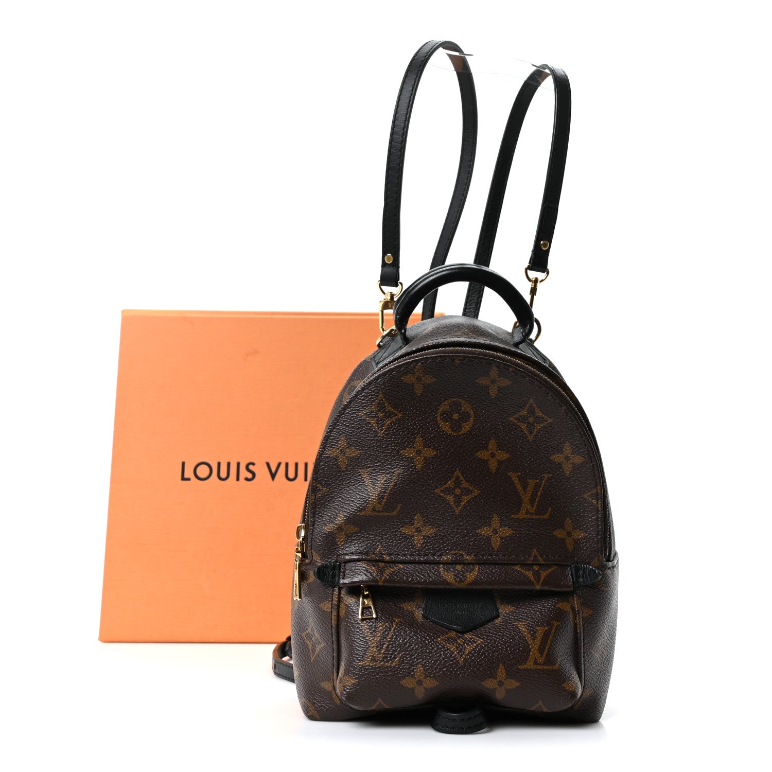 Louis Vuitton Monogram Palm Springs Backpack Mini
