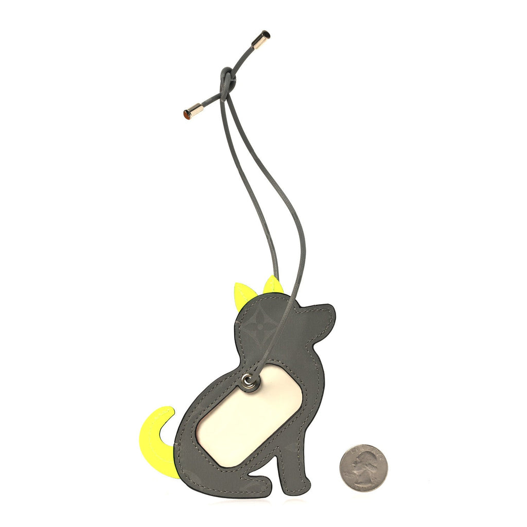 Louis Vuitton Monogram Titanium Dog Name Tag