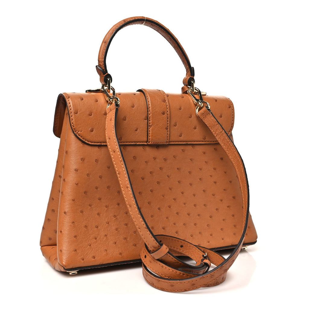 Louis Vuitton Ostrich Rose Des Vents PM Cognac
