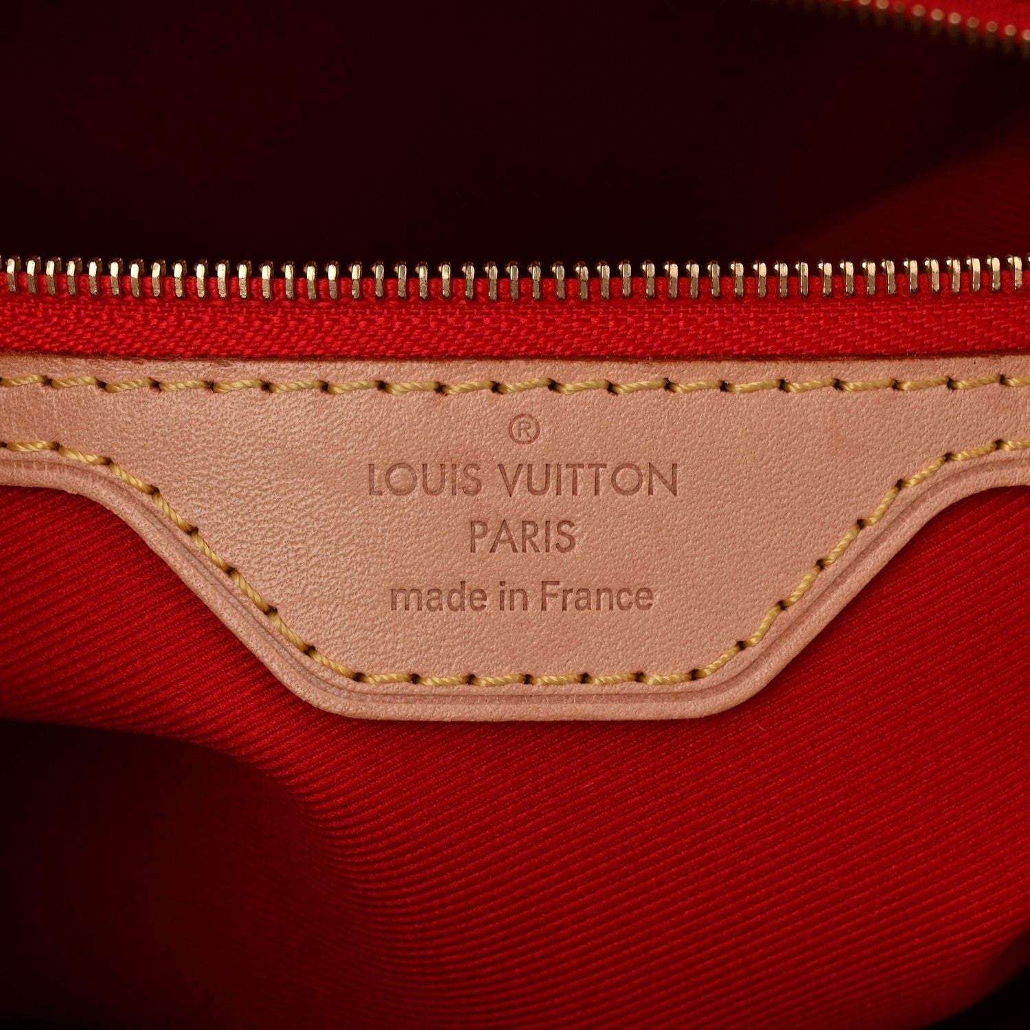Louis Vuitton Monogram Carry It