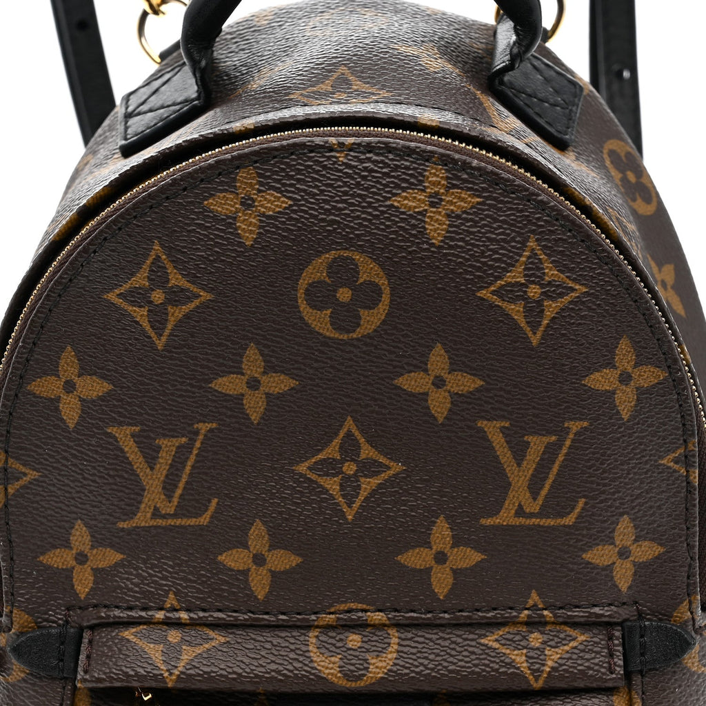 Louis Vuitton Monogram Palm Springs Backpack Mini