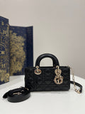 Dior Bags - 1869