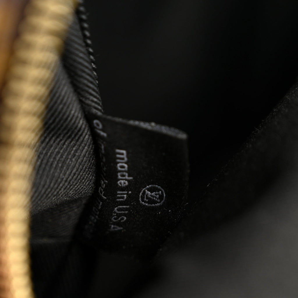 Louis Vuitton Monogram Palm Springs Backpack PM