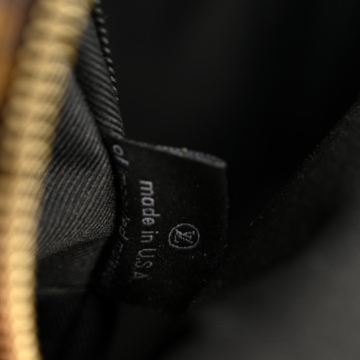 Louis Vuitton Monogram Palm Springs Backpack PM