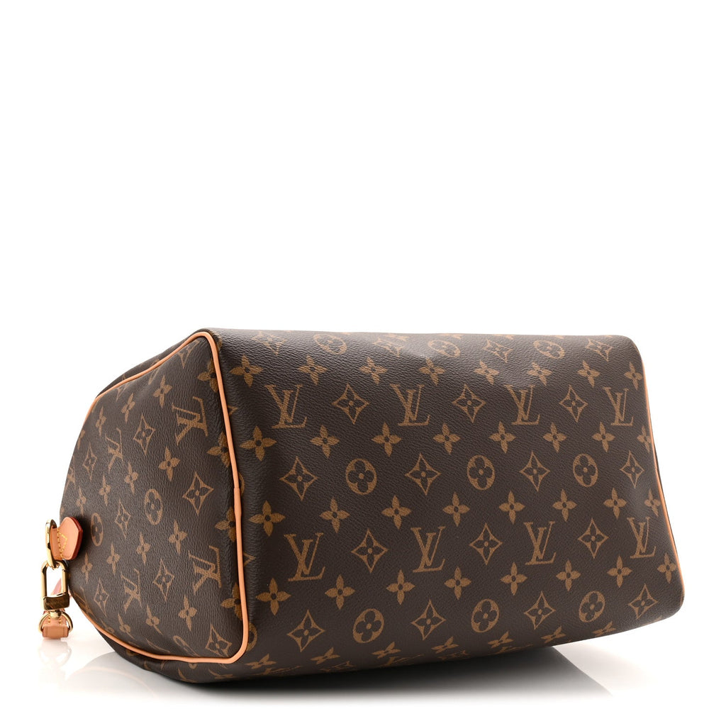 Louis Vuitton Monogram Speedy Soft 30 Crafty Red