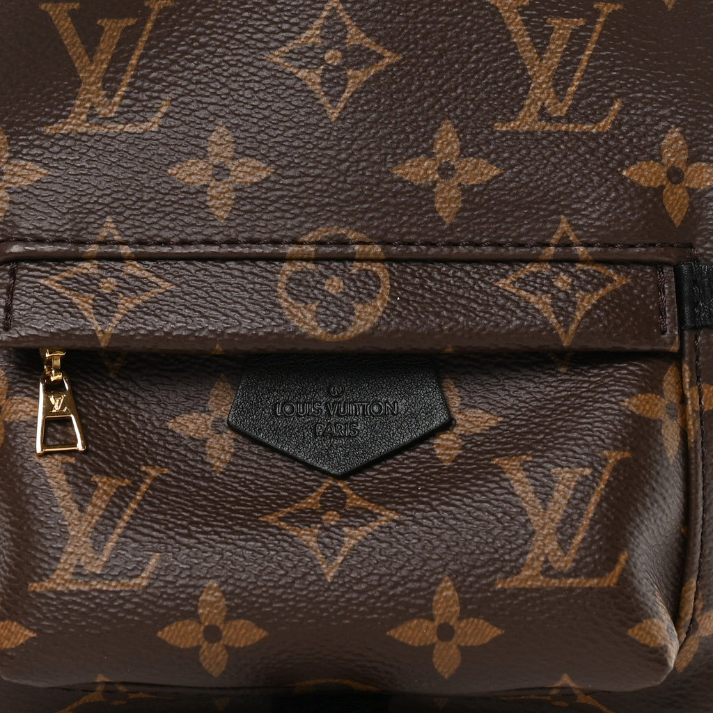 Louis Vuitton Monogram Palm Springs Backpack Mini