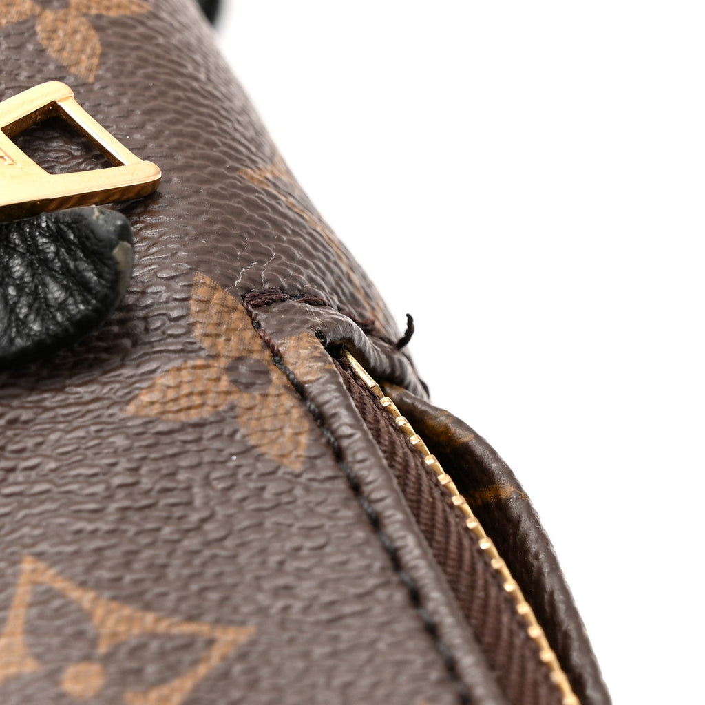 Louis Vuitton Monogram Palm Springs Backpack PM