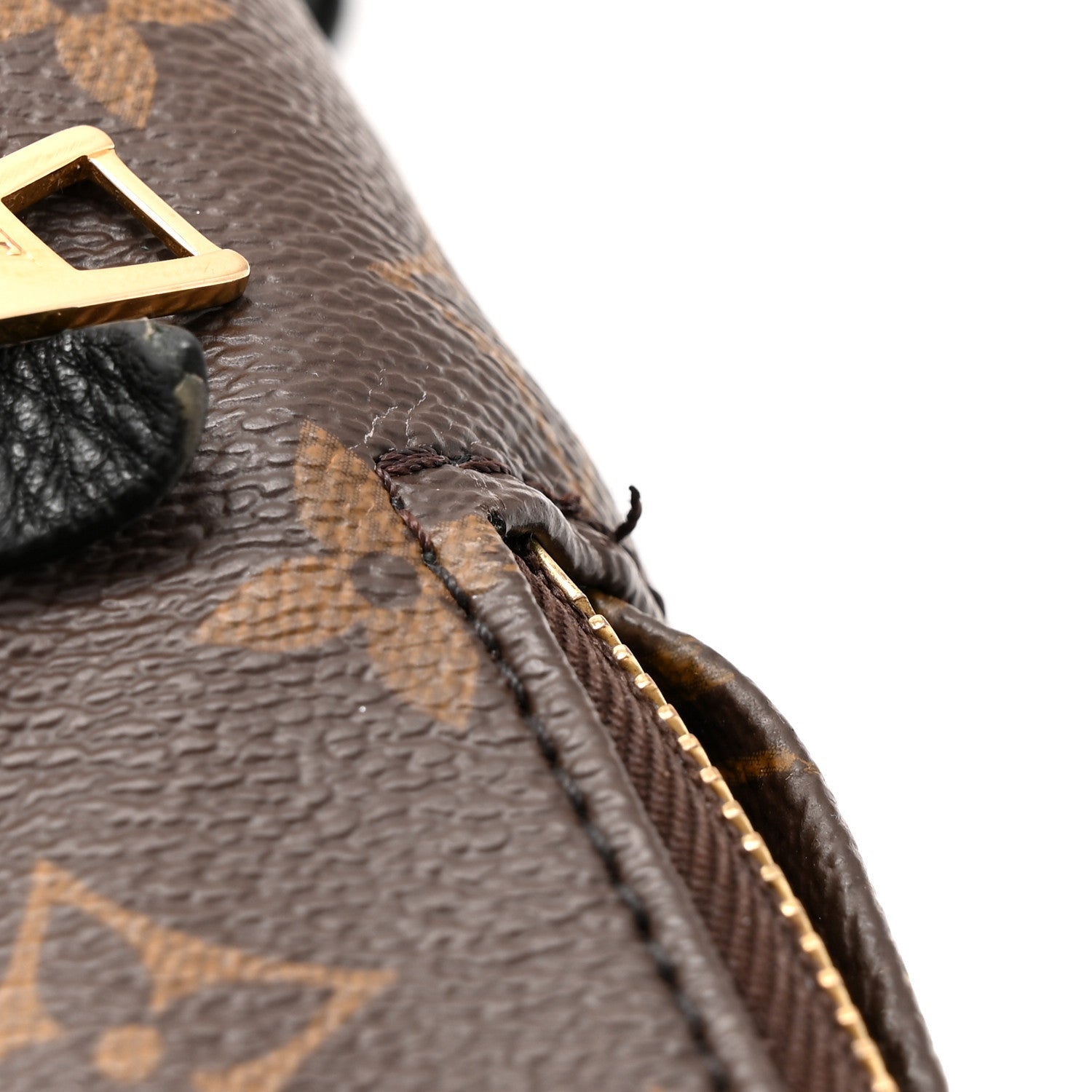 Louis Vuitton Monogram Palm Springs Backpack PM