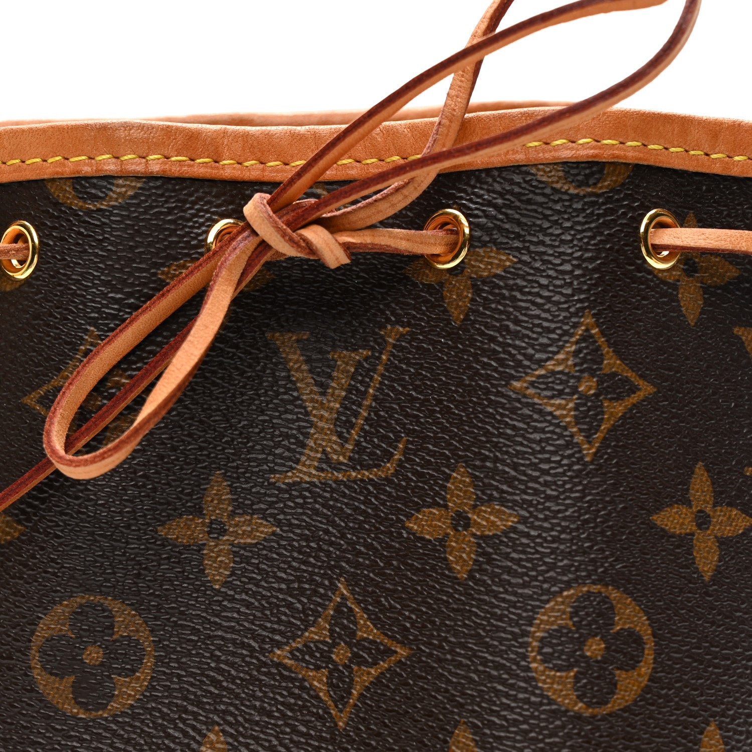 Louis Vuitton Monogram Nano Noe
