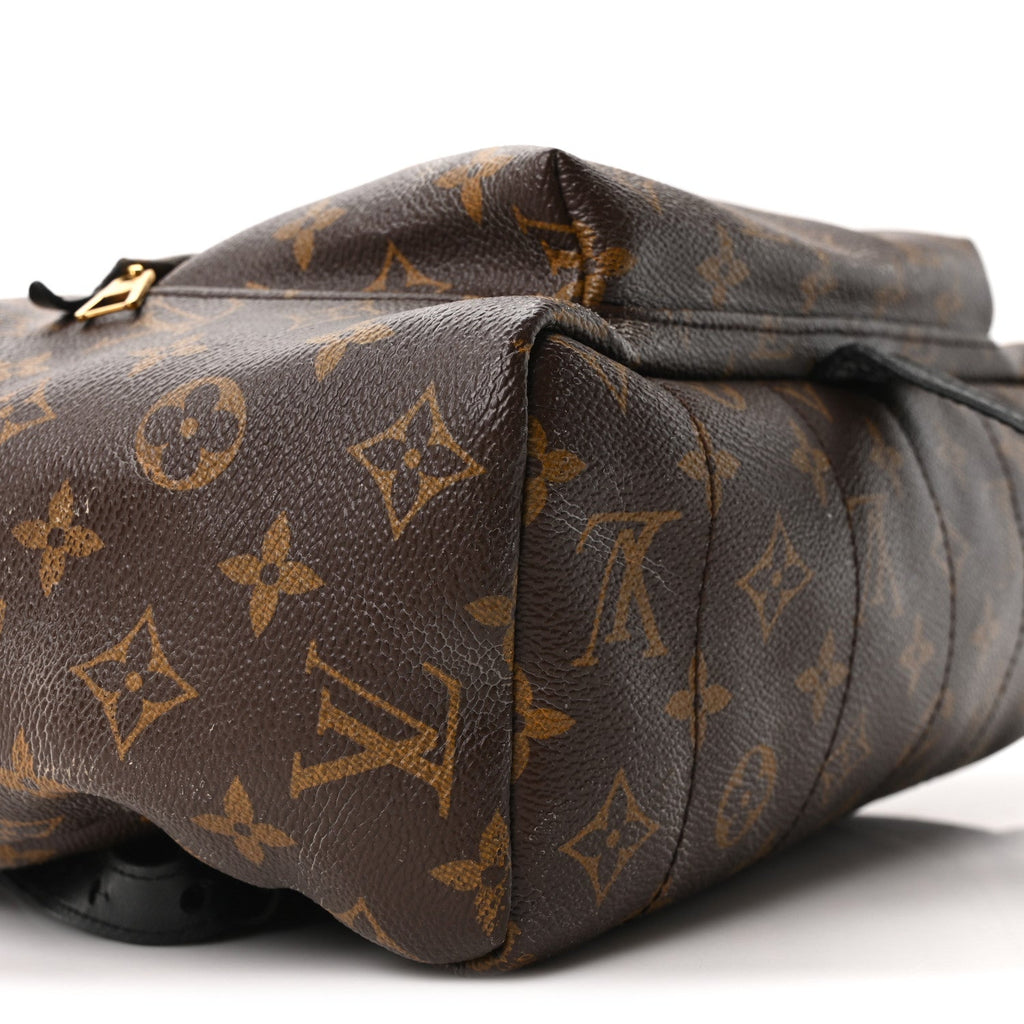 Louis Vuitton Monogram Palm Springs Backpack MM