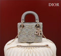 Dior Bags - 113