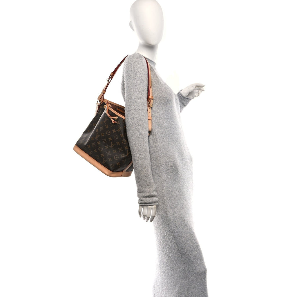 Louis Vuitton Monogram Petit Noe NM