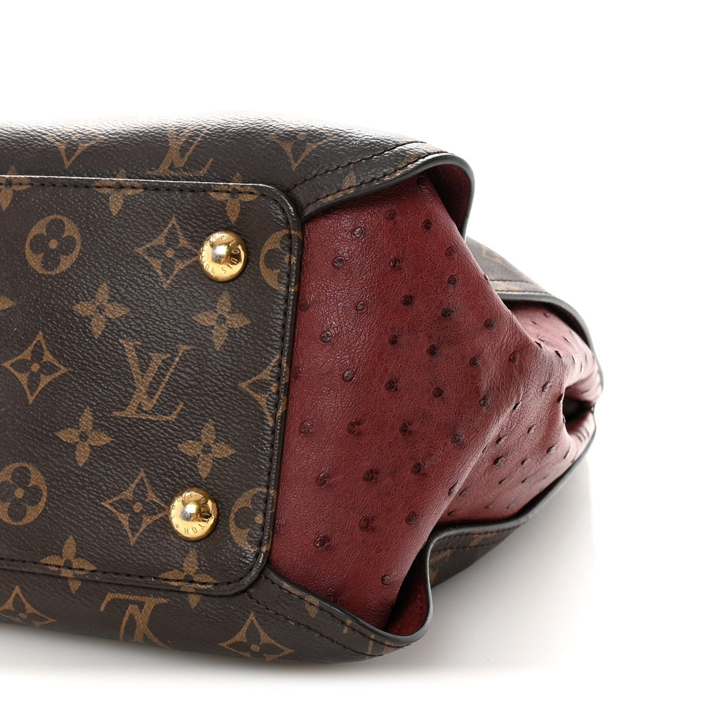 Louis Vuitton Monogram Python Ostrich Gaia Bordeaux