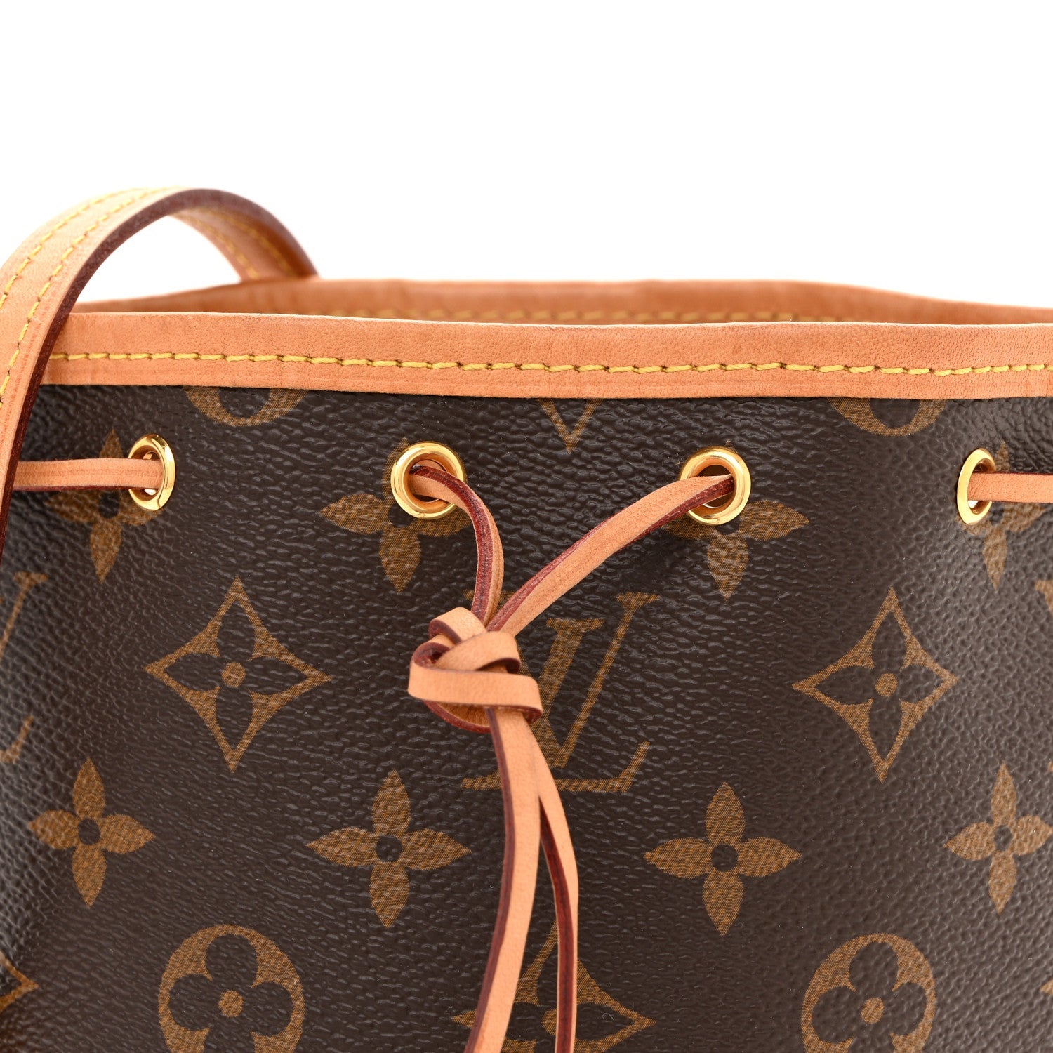 Louis Vuitton Monogram Nano Noe