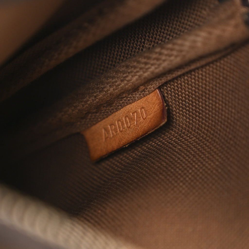 Louis Vuitton Monogram Pochette Accessories