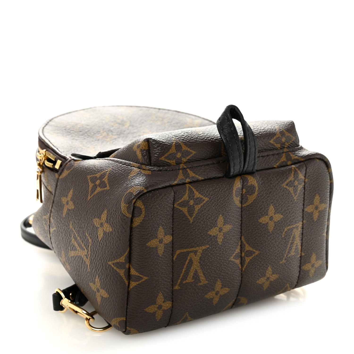 Louis Vuitton Monogram Palm Springs Backpack Mini