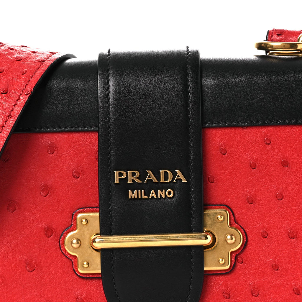 Prada City Calfskin Ostrich Cahier Bag Fuoco Black