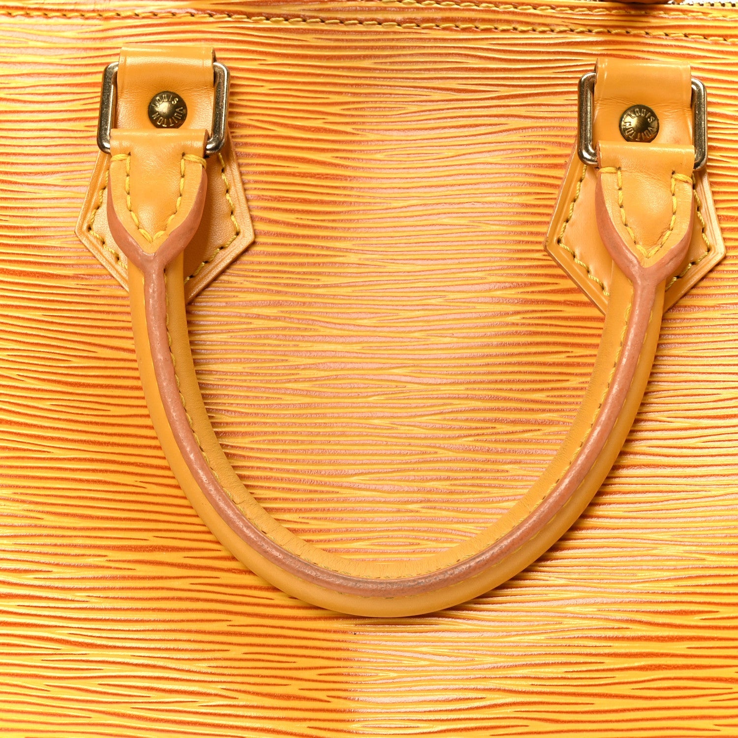 Louis Vuitton Epi Speedy 25 Tassil