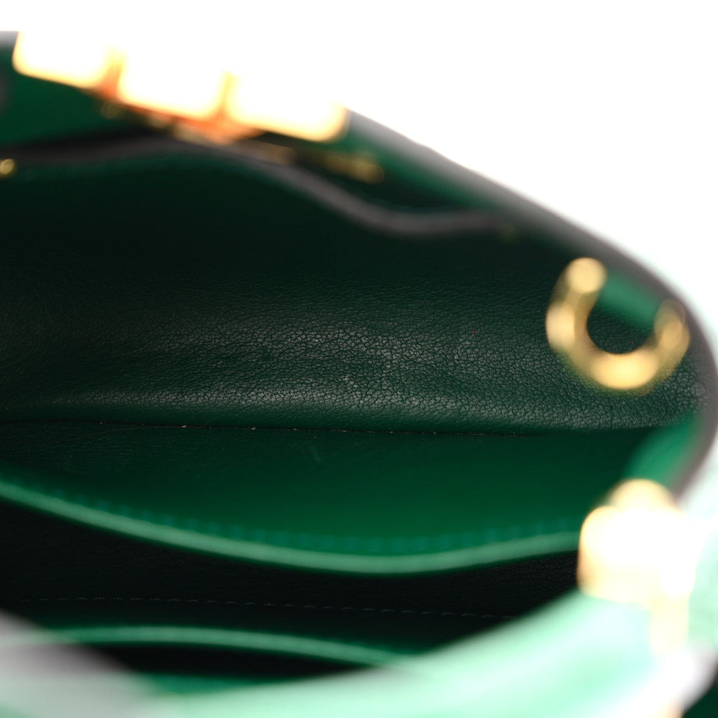 Louis Vuitton Ostrich Capucines Mini Mint