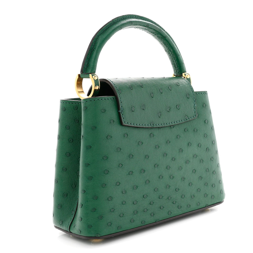 Louis Vuitton Ostrich Capucines Mini Mint