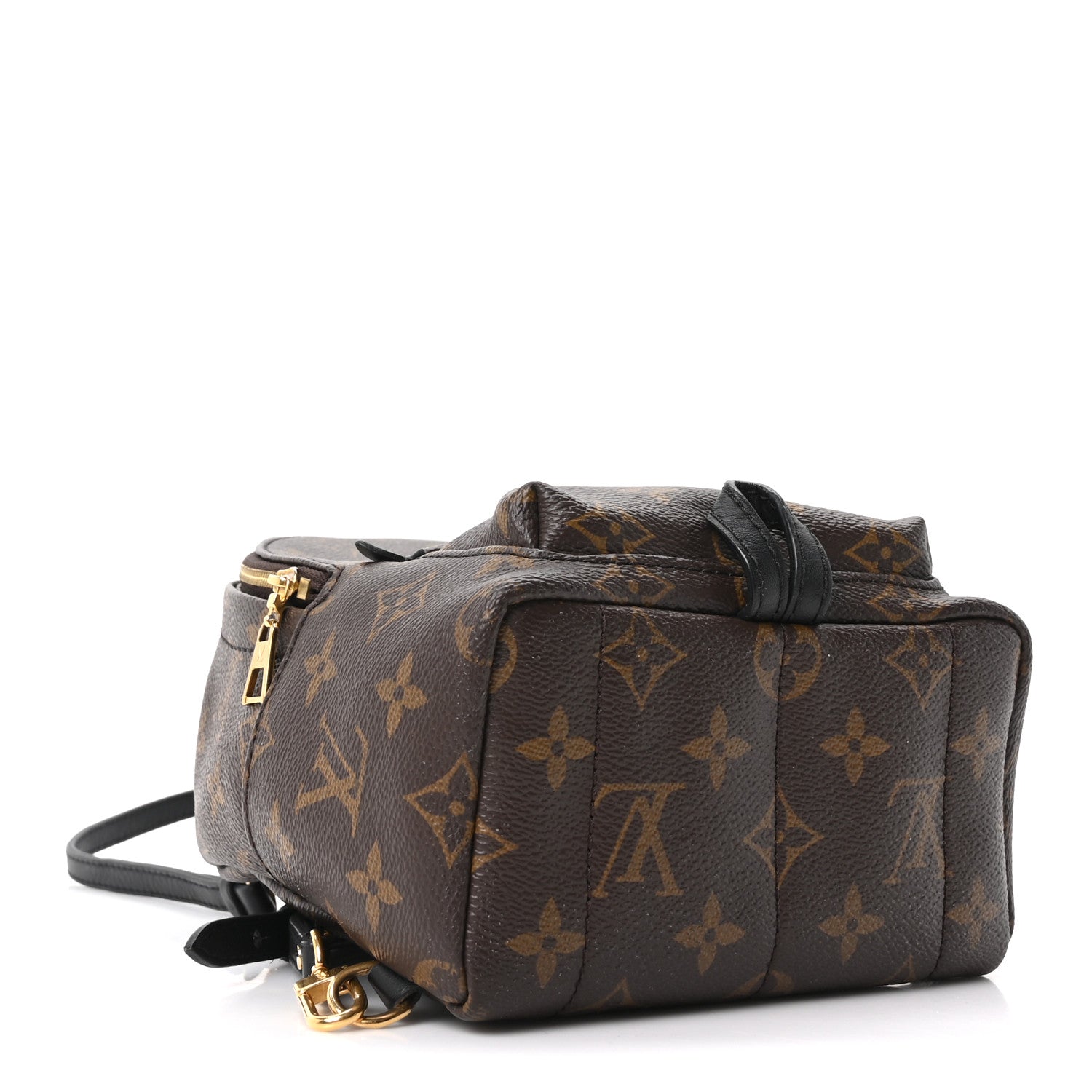 Louis Vuitton Monogram Palm Springs Backpack Mini