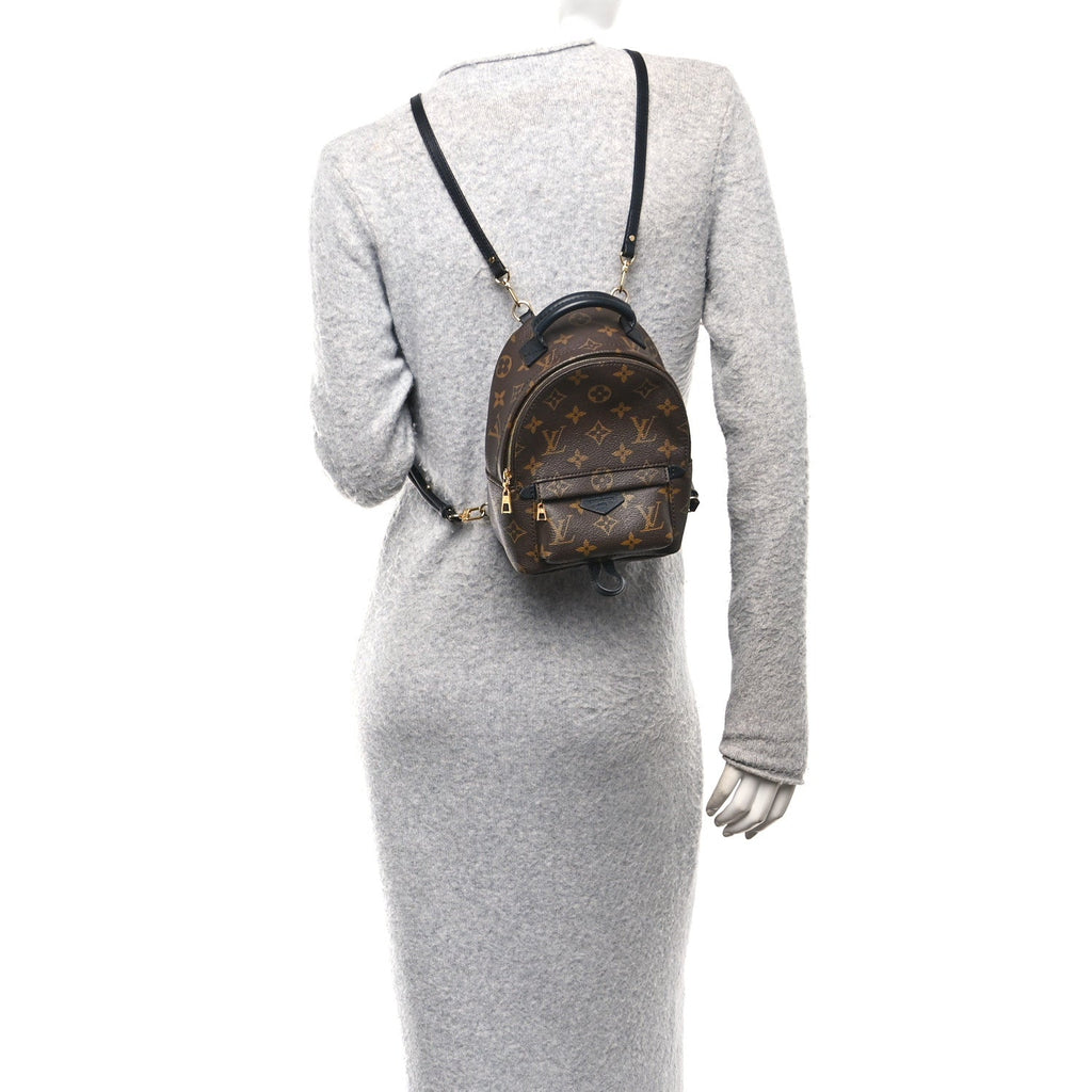 Louis Vuitton Monogram Palm Springs Backpack Mini