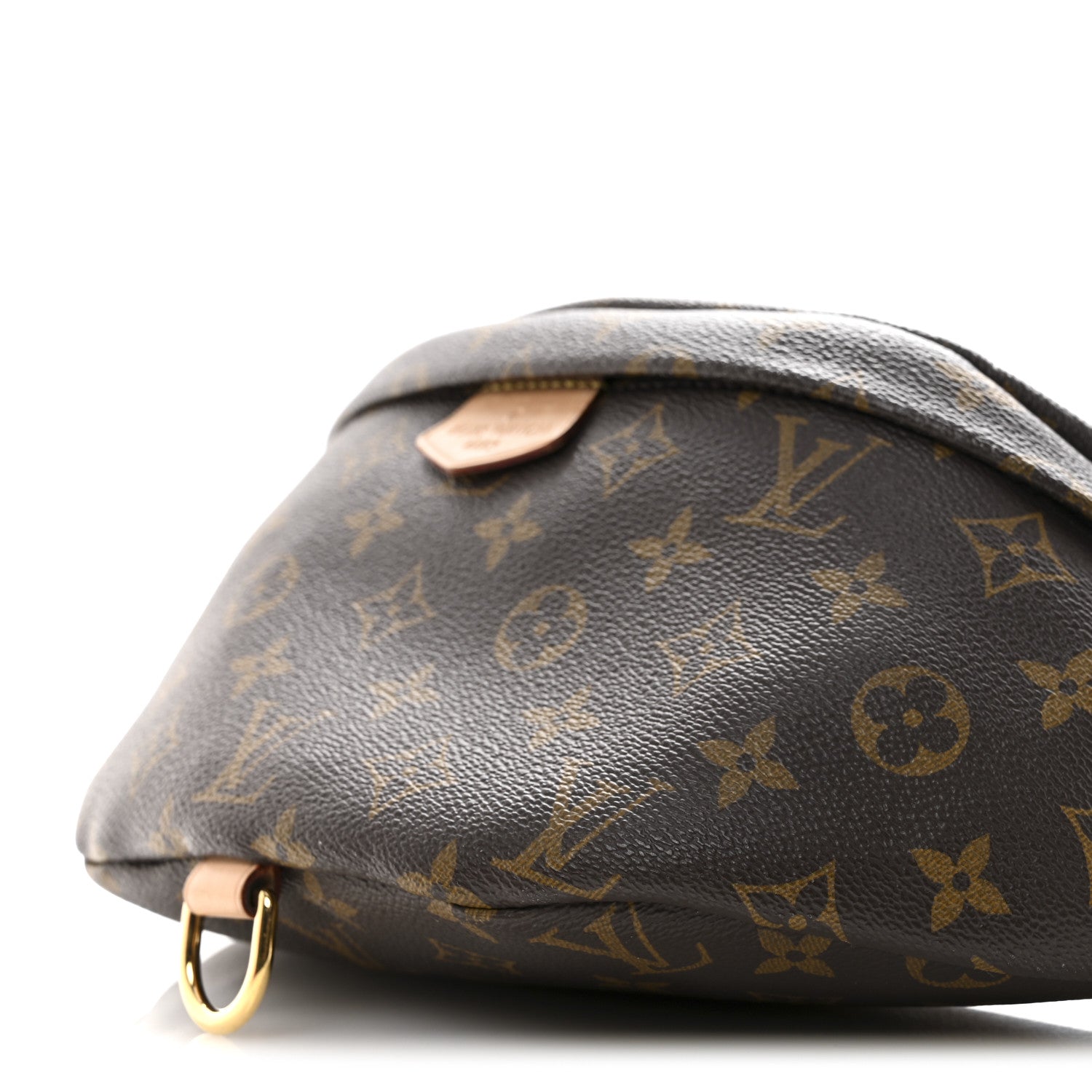 Louis Vuitton Monogram Bumbag