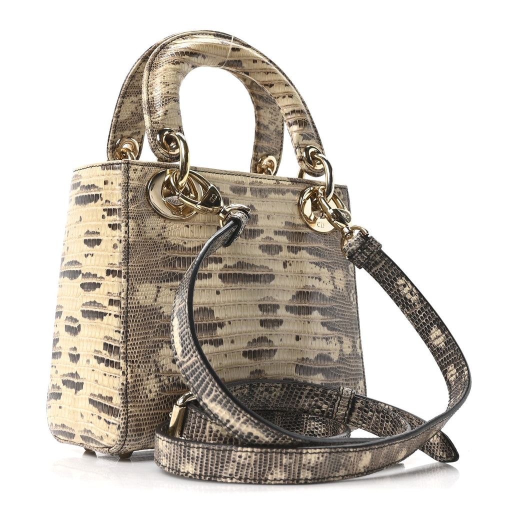 Christian Dior Lizard Ombre Mini Lady Dior