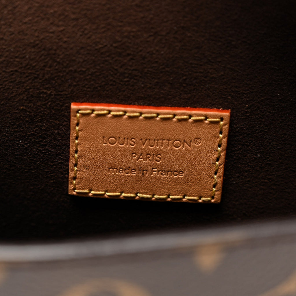 Louis Vuitton Monogram Pochette Camille
