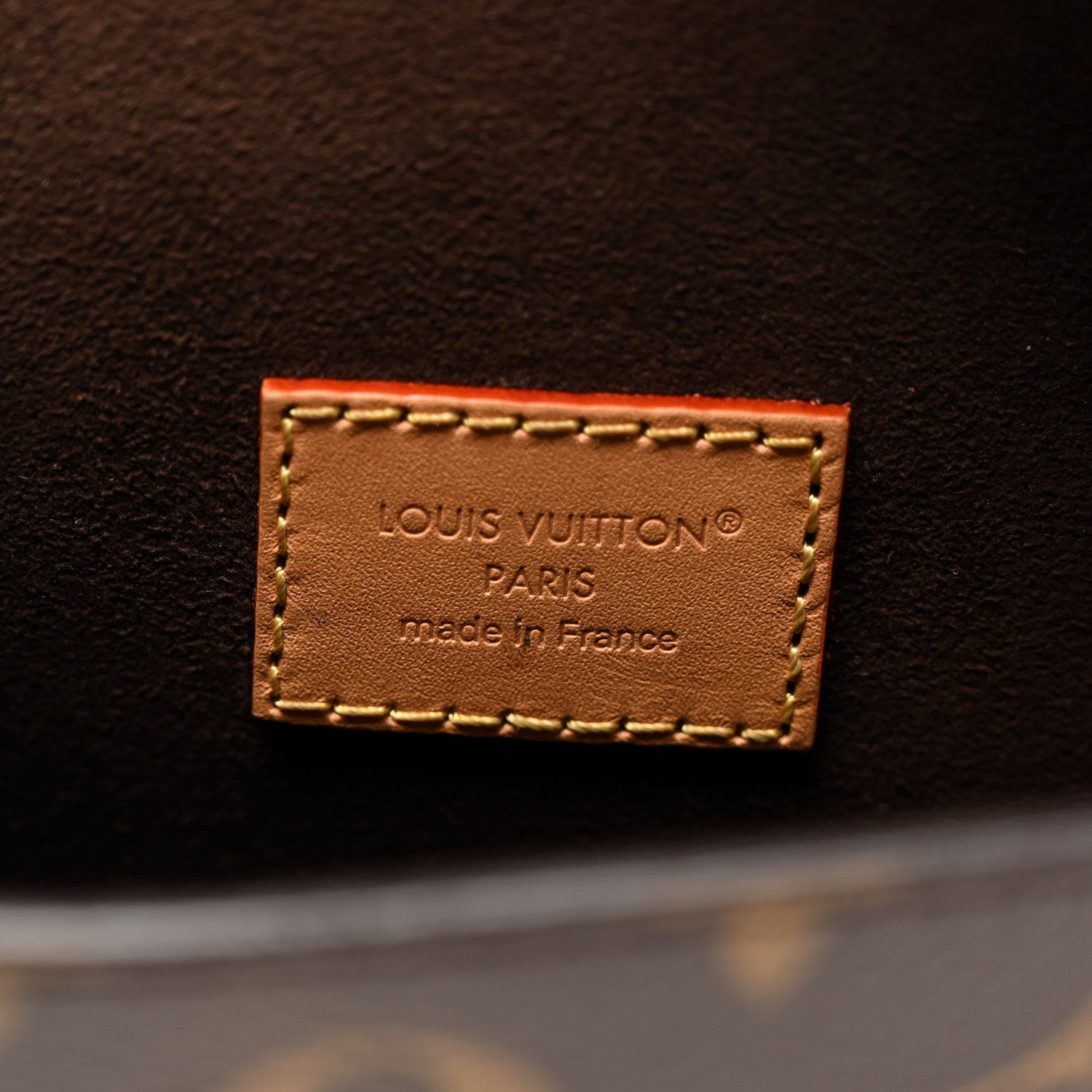 Louis Vuitton Monogram Pochette Camille